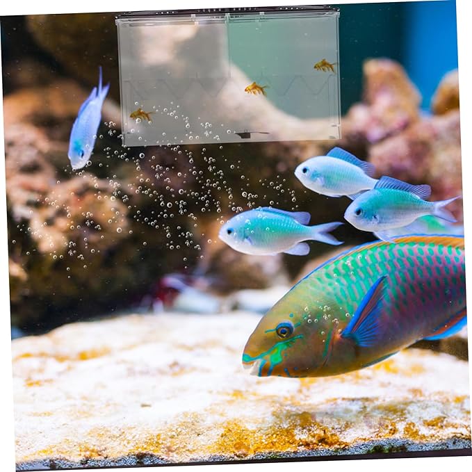 SUPVOX Fish Tank Breeding Box Aquarium Accessory Acrylic Isolation Box for Fish Fry Safe Easy Install