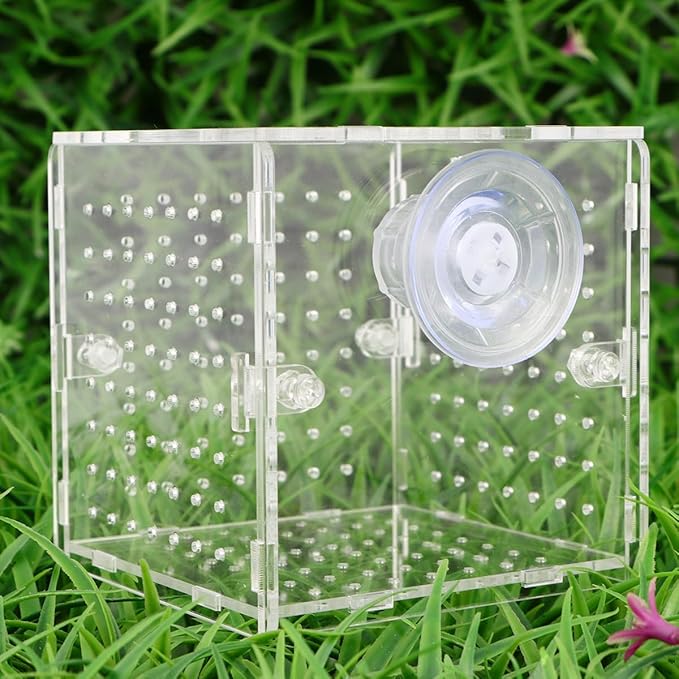 HOMSFOU Acrylic Fish Breeding Tank Box with 2mm Round Hole Suction Cup 10x10x10cm Isolation Aquarium Hatchery Incubator for Fish Fry and Betta Breeders