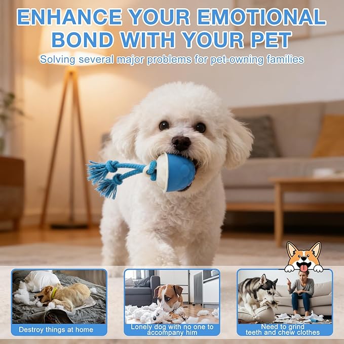 Interactive Dog Toys, 2026 Upgraded Motion Activated Automatic Rolling Ball Toys, USB Rechargeable for Small/Medium/Large Dogs Balls (Blue)