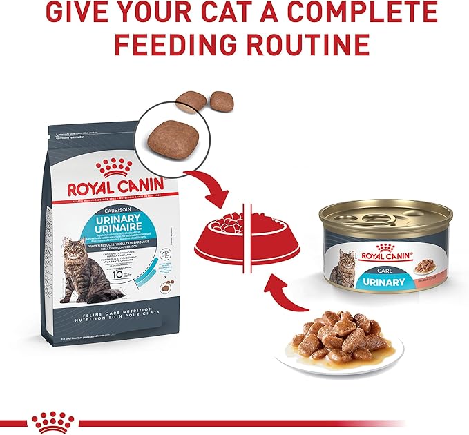 Royal Canin Feline Care Nutrition Urinary Care Adult Thin Slices in Gravy Cat Food, 3 oz (Pack of 6)