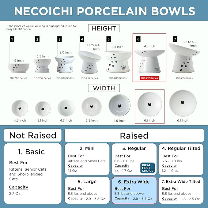 Necoichi Raised Cat Food Bowl – Ceramic Elevated Cat Bowl for Whisker & Neck Fatigue, Dishwasher Microwave Safe – Non-Slip & Anti Vomiting Ergonomic Design (Sakura Floral, Extra Wide, 2-Cups Capacity)