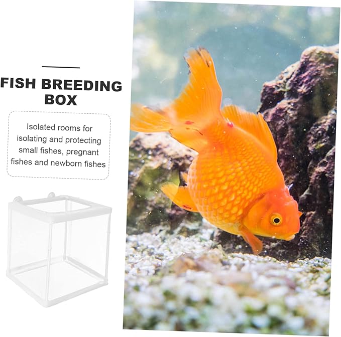 Sosoport Fish Breeding Tank Box Incubation Box Mesh Practical Breeding Incubator for Home Aquarium