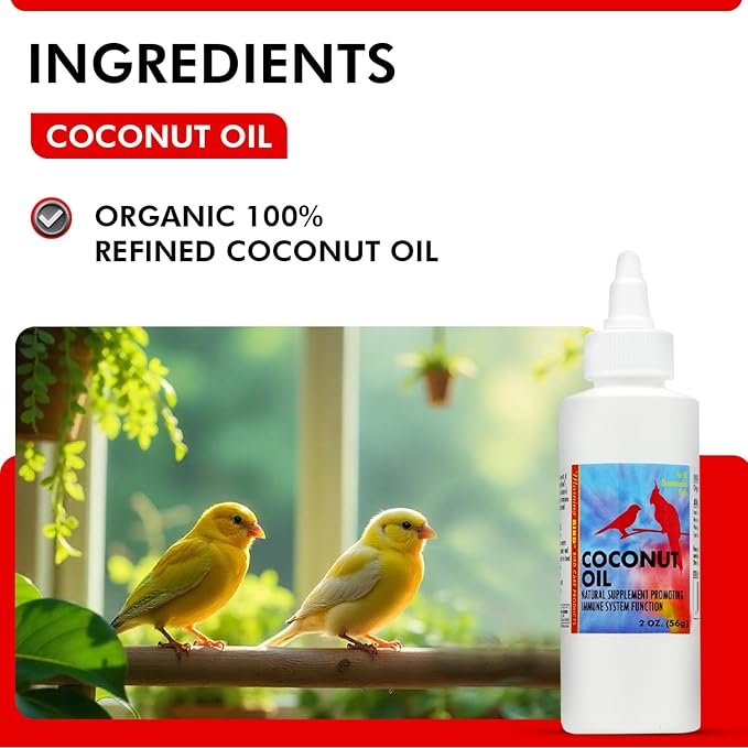 Morning Bird Coconut Oil for Birds 2 oz – Cold Pressed, Organic - Supports Immunity & Digestion – Boosts Energy & Feather Health – Easy to Mix – Safe for All Bird Life Stages