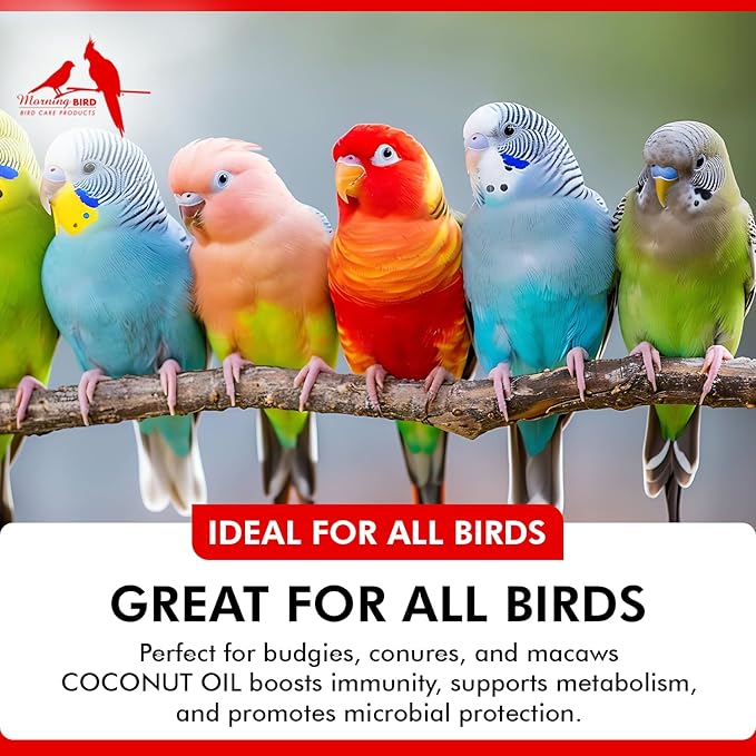 Morning Bird Coconut Oil for Birds 4 oz – Cold Pressed, Organic - Supports Immunity & Digestion – Boosts Energy & Feather Health – Easy to Mix – Safe for All Bird Life Stages