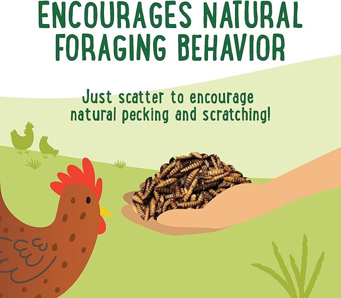 Manna Pro Farmhouse Favorites Feather Flair Poultry Treat, High Protein Chicken Treat with Methionine, Biotin & Thiamine, Supports Strong, Vibrant Feathers, for Chickens, Ducks, Turkeys & More, 2 lbs