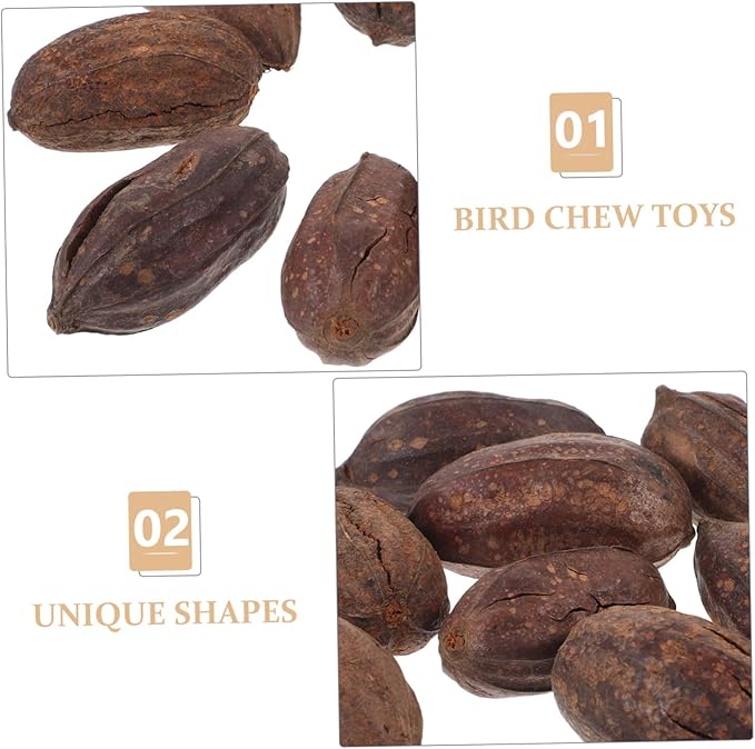 8pcs Natural Dried Fruit Bird Chew for Parrots Macaws Conures Mental Stimulation Foraging Shredding Cage Accessories to Reduce Loneliness