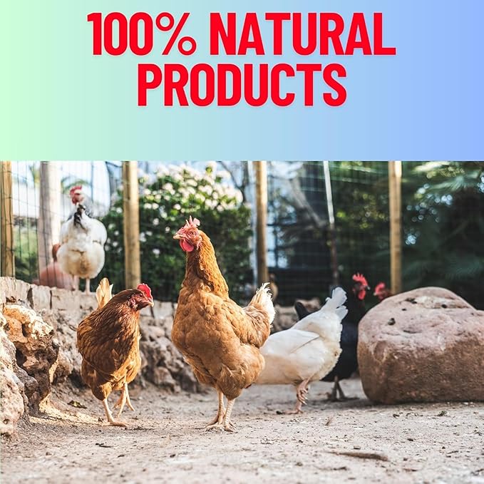 Red & Lime Stones Mix Grit Minerals, High Calcium Supplement, Designed to Promote Strong Bones, Better Digestion, and Overall Well-Being for Pigeons, Small Cage Birds, Duck and Chickens 10 Pounds Bag