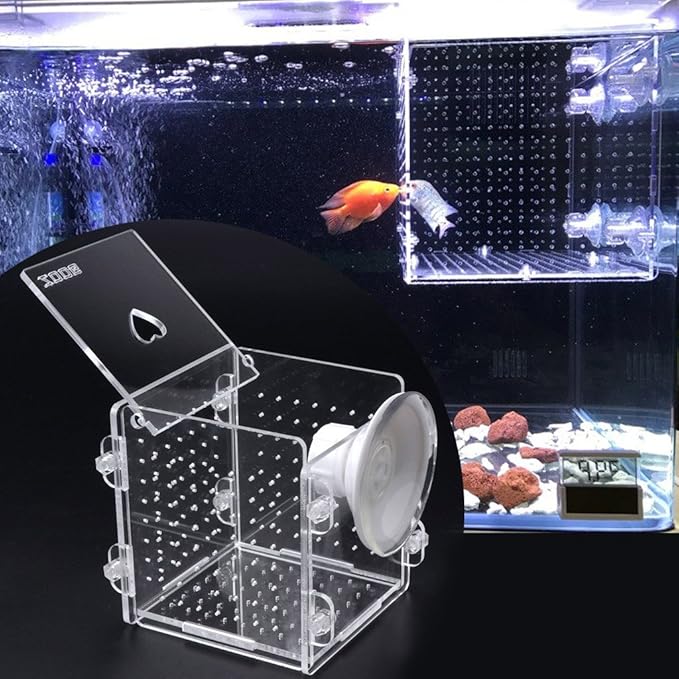 Fish for Tank Hatchery Incubator Aquarium Breeding Box Acrylic Breeder Isolation Hatching Boxes with Suction Cup on Large Net Mesh Aquarium Small Floating Large Mesh