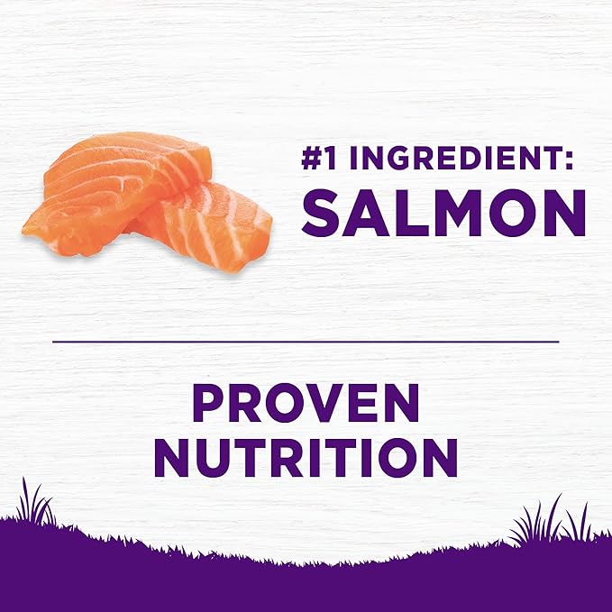 Wellness Complete Health Sensitive Skin and Stomach Dry Dog Food, Wholesome Grain Kibble, Natural, Chicken Free, Salmon and Rice Recipe, 5 lb Bag