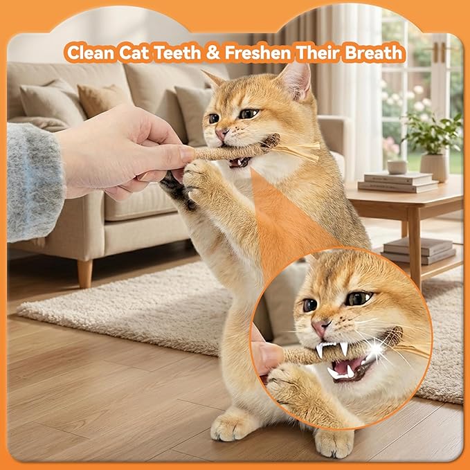 6Pcs Silvervine Sticks for Cats with Catnip Bag, Cat Chew Toys for Teeth Cleaning and Anxiety Relief, Natural Dental Care Kit for Indoor Cats & Kittens