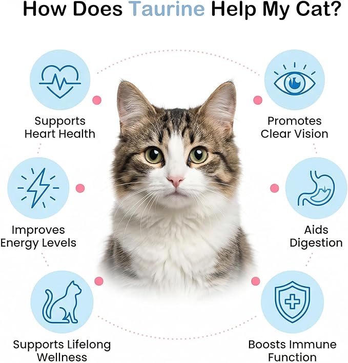 Taurine for Cats, Cat Taurine Supplement for Heart, Vision, Skin & Coat and Immune Support Unflavored Taurine Powder for All Ages Including Kittens – 6 oz