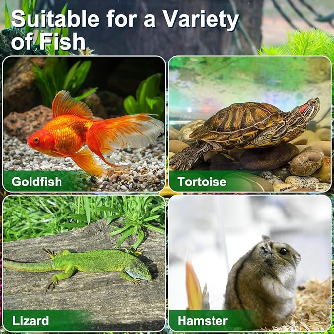 YARNOW 4pcs Portable Handheld Aquarium for Turtles Pet Tank Lightweight Reptile Carrier for Fish Hamsters and Pets Mixed