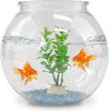 DARENYI Plastic Goldfish Fish Bowl Drum Round Crystal Clear Aquarium Fish Tank Starter Kits with 1 Artificial Aquatic Plant and 1 Bag Mini Ornamental Stones (0.72Gallon/ 2.75L)