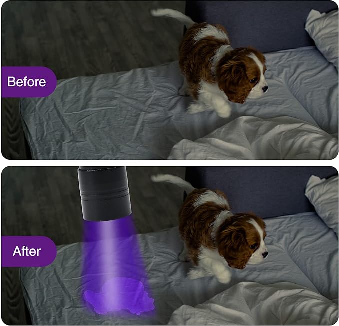 COSOOS Black Light UV Flashlight, 12 LED Handheld Black Light, Small UV Lights 395nm, Portable Pet Stain Detector for Dog Urine, Scorpions, and Bed Bugs.
