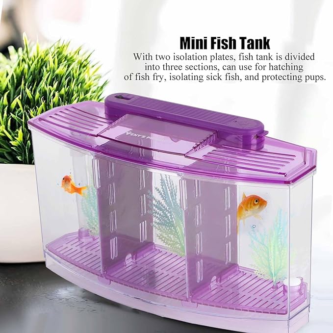 Aquarium Fish Led Light Kid Friendly Small Fish Three Divisions Breeding Isolation Mini Aquarium komplettset LED Acrylic Box Betta for Small Fishes()