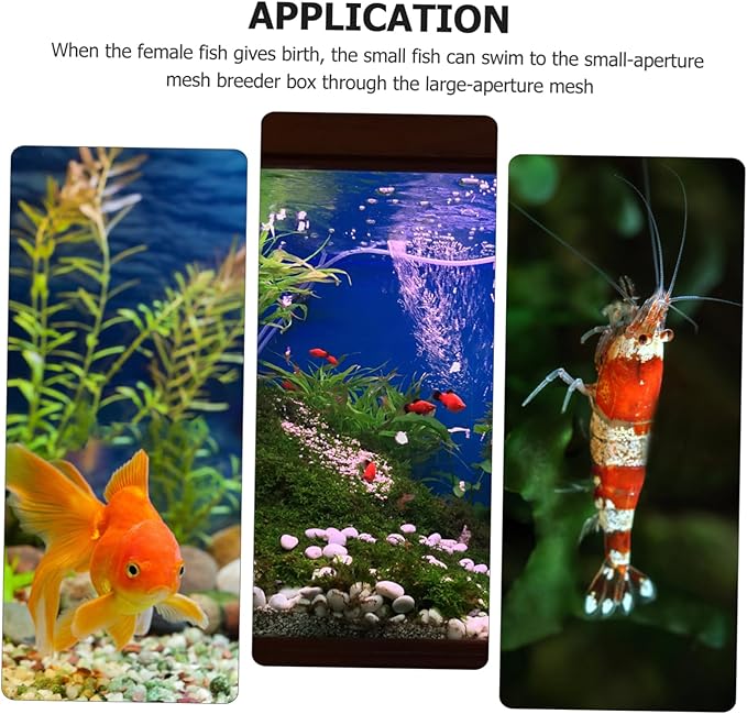 2pcs Breathable Fish Breeding Tank Transparent Mesh Isolation Box for Aquarium Safe Fish Incubator for Fry Convenient to Clean and Use