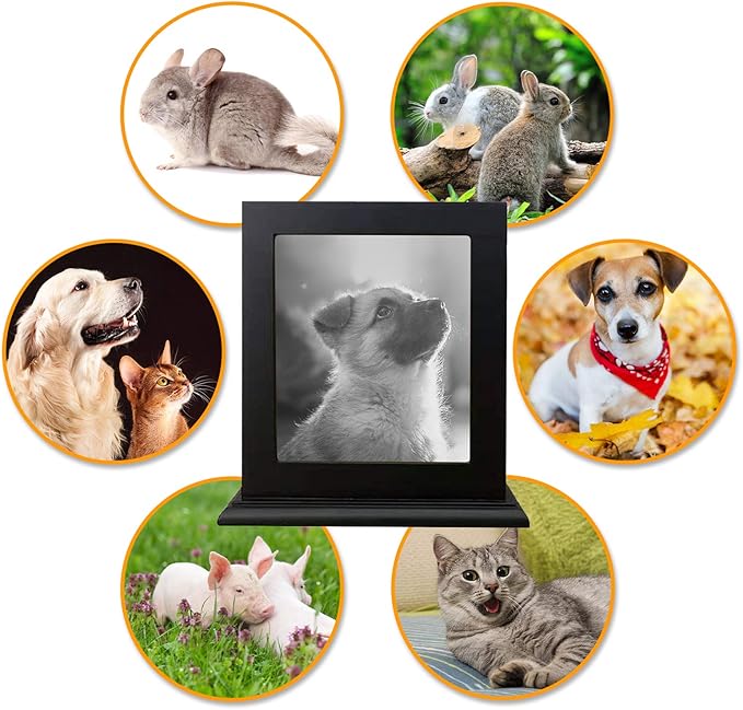 Pet Wood Memorial Urn for Ashes,Photo Frame Keepsake Box for Cats Dogs,Funerary Caskets Supplies Burly Wood Cremation Urns with Acrylic Glass Photo Protector for Pet Lovers