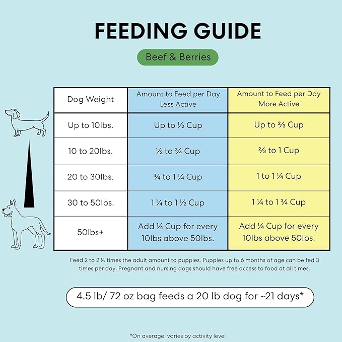 The Pets Table Beef & Berries Grain-Free Air-Dried Dog Food, 48 Oz. Bag (Pack of 2)
