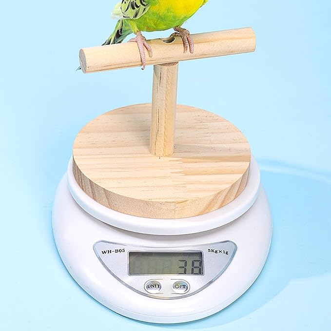 Parrot Weighing Scale – Bird, Electronic Scale | Small Animal Feeding Weight Tool for Xuanfeng Tiger Skin Peony, Measuring Bird Food Grain and Milk Powder for Daily Health Monitoring and Pet
