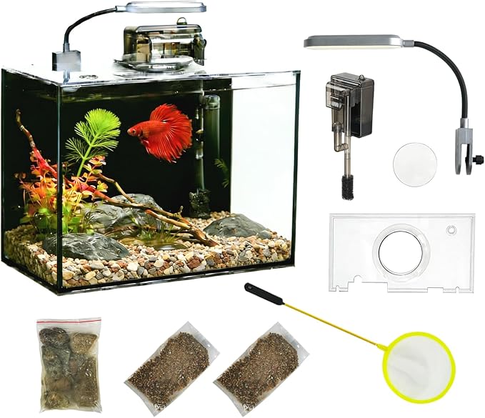 2 Gallon Glass Fish Tank with Filter LED Light Complete Aquarium Starter Kit for Betta, Shrimp, Nano Fish Rimless Small Aquarium with Everything Included