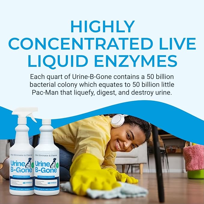 Urine B-Gone, Professional Enzyme Odor Eliminator & Pet Stain Remover, Human, Cat & Dog Urine Cleaner, Effective on Laundry, Carpets & More, Original Scent, 32oz, Pack of Two