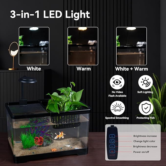 1.8 Gallon Beta Fish Tank Aquariums Kits - Clear Small Fish Bowl Starter Kit with LED Light, Water Filter Pump, Hydroponic Basket - Beginner's Gift for Guppy Shrimp Goldfish, Rectangular