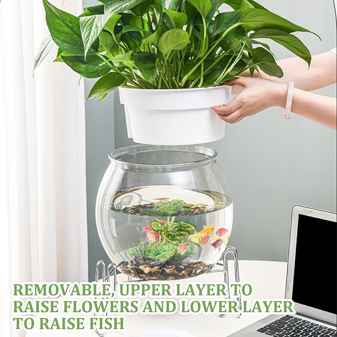 Aquaponic Fish Tank, 3-in-1 Clear Plastic Fish Bowl with Stand & Planter Healthy 5 Gallon Fishtank for Aquarium Plants, L Aquaponic Tank, Hydroponic, Small, Fishtank, Fis