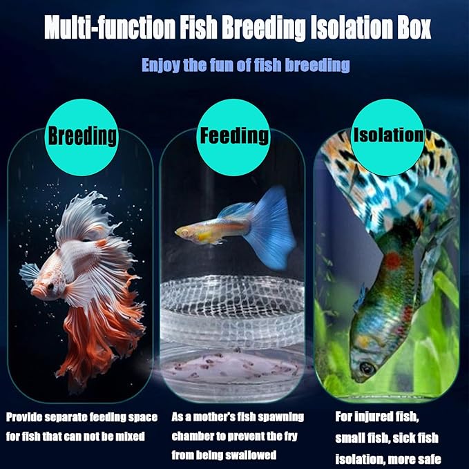 Breeder Box for Fish Tank, Plastic Aquarium Breeding Chamber, Floating Mesh Isolation Hatchery Incubator for Small Fish, Betta Shrimp Clownfish Guppy - Adjustable Nursery Tank Divider (Blue,Large)