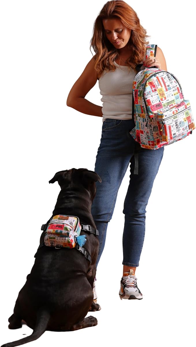 Pawlook Dog Backpack Harness – Street Smart | Waterproof, Adjustable, Breathable – Leash Attachment D-Rings, Poop Bag Pocket – Small & Medium Dogs – 8 Styles Traveller Small
