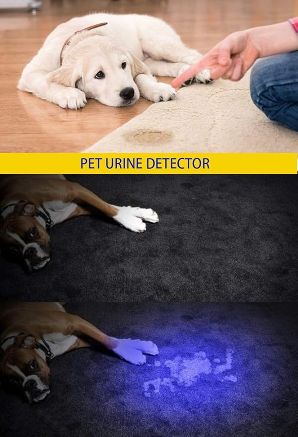 DARKBEAM UV 365nm and 395nm Light Wood's lamp Blacklight Ultraviolet Flashlight LED Portable Mini Handheld Torch, Detector for Dog Urine Pet Stains Anti-counterfeiting Identification, Resin Curing