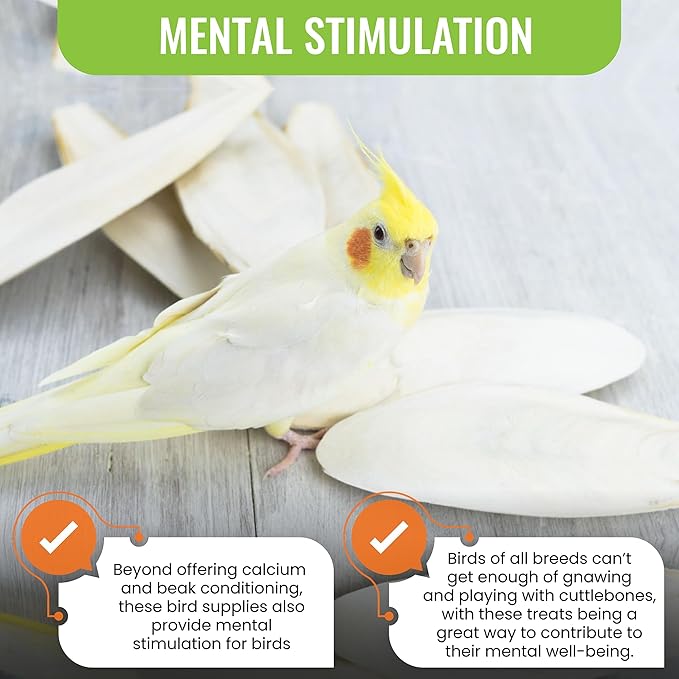 Natural Cuttlebones 4 Pack Calcium Cuttlebone Treats Suitable for All Bird Breeds - Easy to Attach with Metal Holder - Great for Parakeets Parrots Cockatiels - Chew Feeder Tortoise & Snails