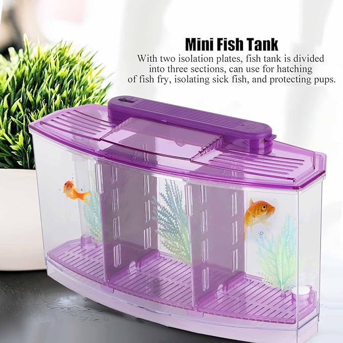 Rengue Fish Breeder Box for Aquarium TripleChamber Fish Breeder Box for Aquarium, Transparent LED Acrylic Small Fishes Breeding Isolation for, Transparent LED Acrylic (Purple)