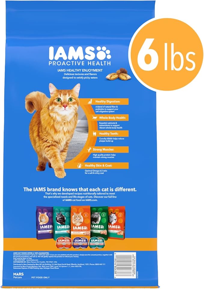 IAMS Healthy Enjoyment Dry Cat Food Chicken & Salmon Recipe, Cat Food Dry Recipe, 6 lb. Bag