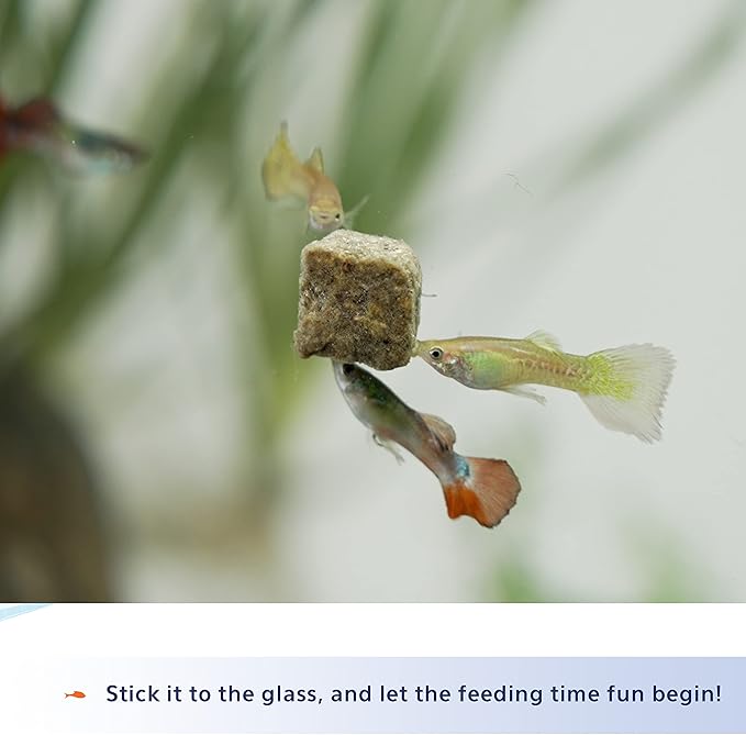 Aqueon Stick'ems Freeze-Dried High Protein Pet Fish Treat , 0.42 oz