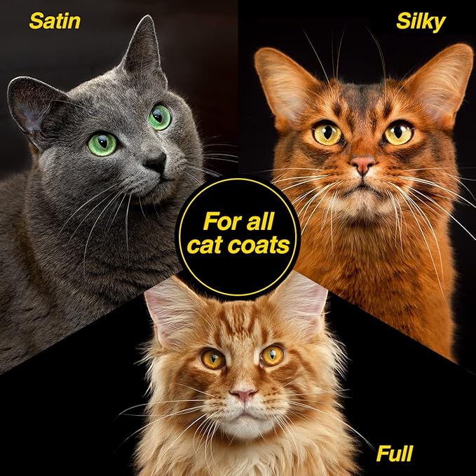 Chris Christensen Top Cat Clarifying Shampoo for Cats, Groom Like a Professional, Gently Removes Dirt & Oils, Great for All Coat Types, Made in USA, 16 oz