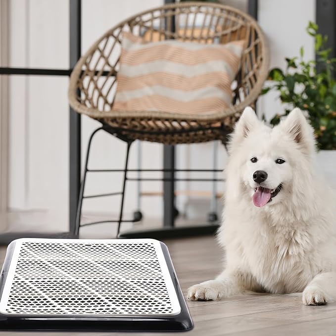 Mifoci Dog Pee Pad Holder Potty Tray Portable Dog Litter Box Toilet Training for Indoor Outdoor Small Medium Large Pet Puppy(2 Pcs)