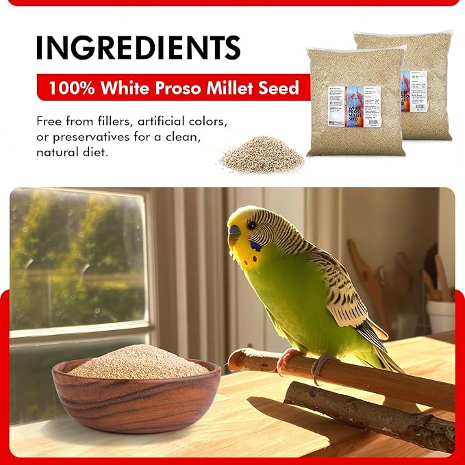 Morning Bird White Proso Millet 18 lbs (2-Pack, 9 lbs Each) Natural Bird Seed – Supports Feather Growth & Balanced Nutrition – High Energy Delicious Seed - Ideal for Finches, Parakeets & Pet Birds