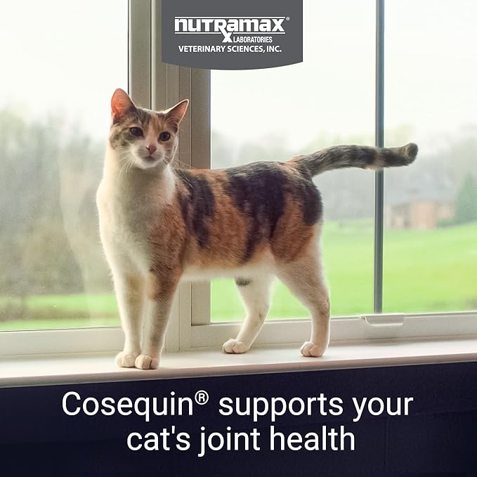 Nutramax Cosequin for Cats Joint Health Supplement, Contains Glucosamine for Cats, Plus Chondroitin, Supports Healthy Joints, for all Breeds and Sizes, Sprinkle Capsules, 30 Count