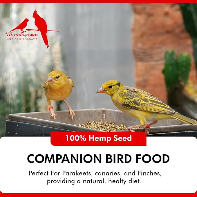 Morning Bird Hemp Seeds 9 lbs– High in Natural Protein, Healthy Fats, Omega 3 and 6 Fatty Acids, Delicious Natural Flavor, Supports Feather Growth & Overall Health
