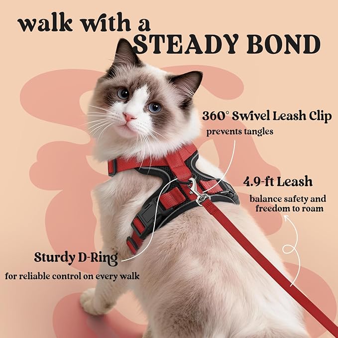 rabbitgoo Cat Harness and Leash for Walking, Escape Proof Soft Adjustable Vest Harnesses for Cats, Easy Control Breathable Reflective Strips Jacket, Black & Red, XS