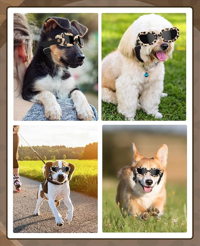 Lewondr Small Breed Dog Goggles with UV Protection, Adjustable Strap, Windproof & Anti-Fog
