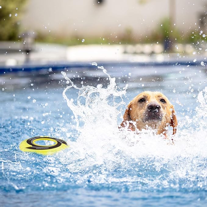 SKIPDAWG Interactive Tug Toy, Flying Disc Water Toy Non-Toxic Light TPR/Nylon Fabric, Pet Training and Outdoor Exercise Toys for Dogs, Diameter 9 Inches