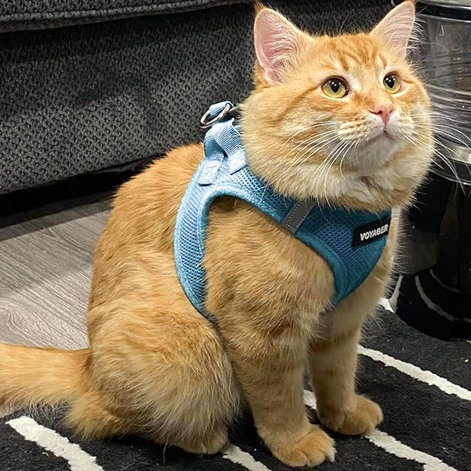 Best Pet Supplies Voyager Step-in Air Harness - All Weather Mesh, Reflective, No Pull Harness for Dogs, Cats - Secure with Hook & Loop Fastener, Buckle, Double D-Rings - Baby Blue, XXXS