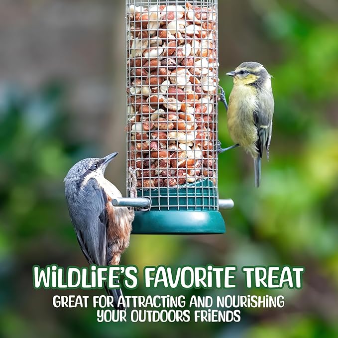 Premium Quality Raw Peanuts in Shell - 8 Pounds – All-Natural Food for Squirrels, Deer, Birds, and Other Wildlife Animals – Grown in The USA for Healthy Nutrition