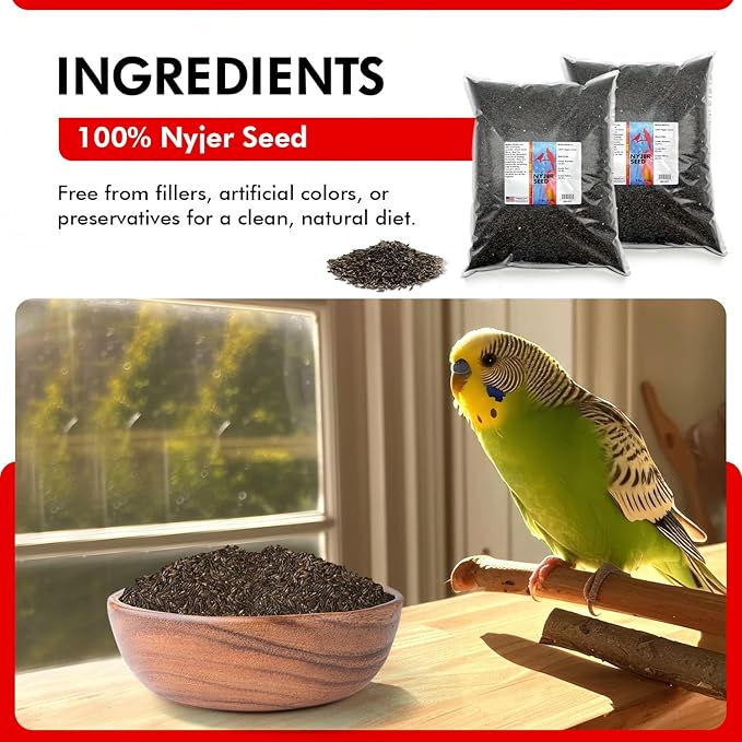 Morning Bird Nyjer Seed for Birds 18 lbs (2-Pack, 9 lbs Each) – Rich in Natural Healthy Fats – Ideal for Breeding & Molting – Premium Bird Food for Canaries and Other Seed-Eating Birds