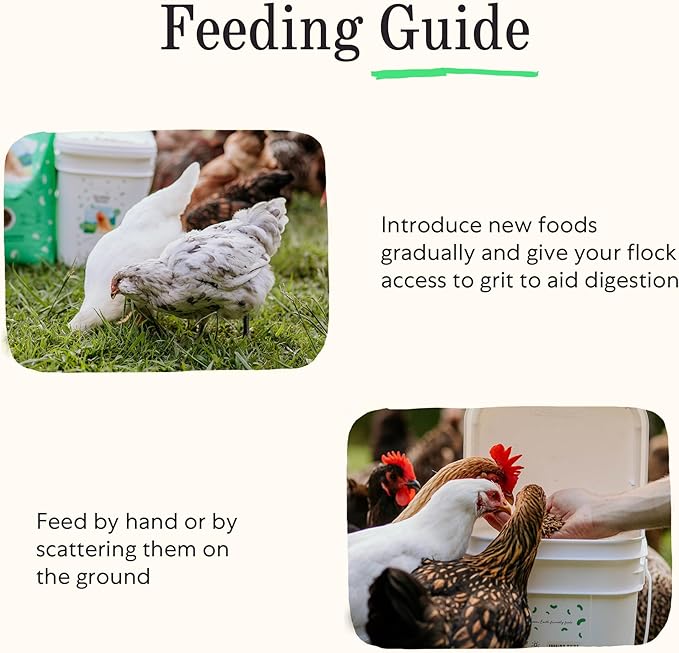 Grubbly Farms Love Tub - Black Soldier Fly Larvae for Chickens - Chicken Treats with 50x More Calcium for Strong Eggshells and Healthy Feathers - Grown in The US and Canada - 5lb Reusable Tub