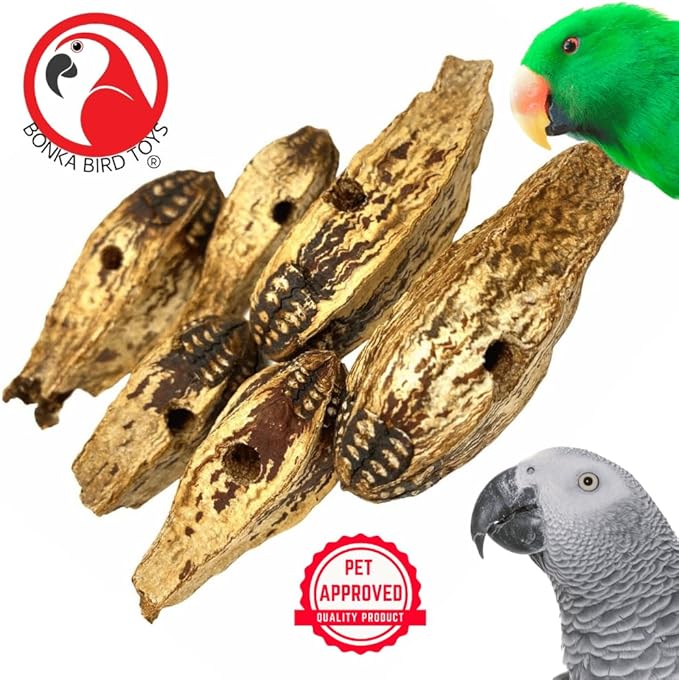 Bonka Bird Toys 3410 Pk6 Drilled Mahogany Pods Foot Talon Craft Part Parrot Toys, Amazon, African Greys, Eclectus, and Similar Breeds