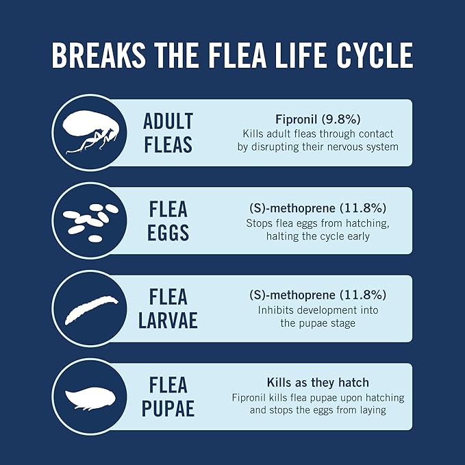 PetArmor Extend Dog Flea and Tick Treatment & Prevention Collar for Small Dogs up to 18 lbs., 8 Months of Protection, Odorless & Non-Greasy, Waterproof, Kills Fleas, Ticks, and Larvae, 1 Count