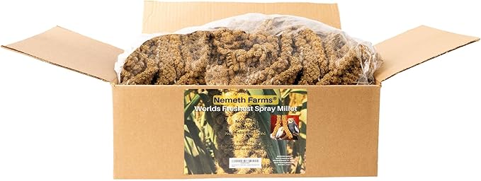 Nemeth Farms 5lbs Premium Spray Millet for Exotic Birds – Grown in The USA – 100% Natural & Non‑GMO Bird Treat – Sun‑Dried Millet for Parakeets, Conures, Cockatiels, Parrots & Budgies