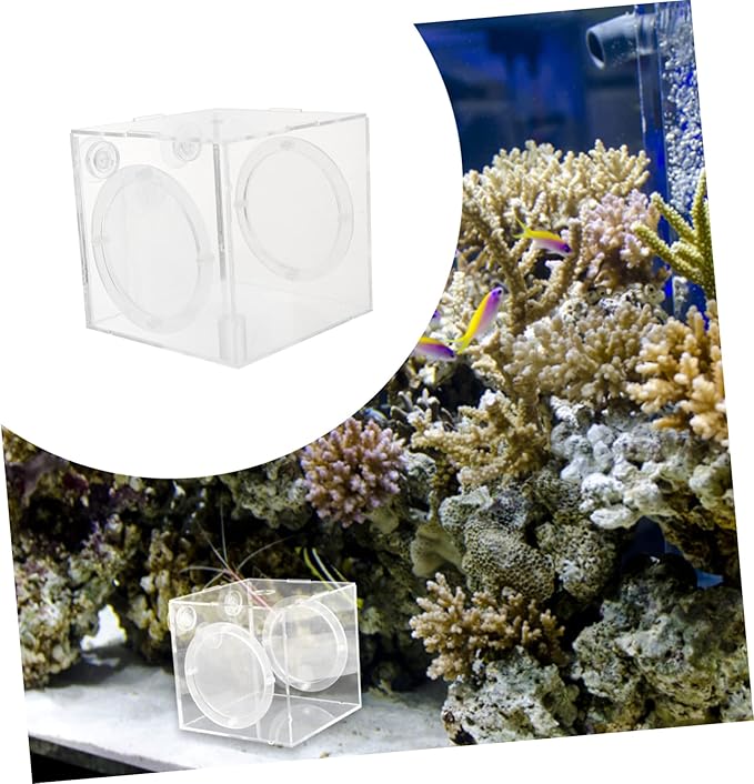 Fish Breeder Isolation Box Transparent Acrylic Hatching Tank for Fish Fry and Breeding Environment for Aquariums